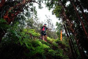 BIB: 
                            <button type="button" onclick="openModal(26204932)" class="btn btn-primary btn-sm float-right btn-popup" data-toggle="modal" data-target=".modal-high-quality">
                        <i class="fas fa-shopping-cart"></i> Add to Cart
                    </button>
                                            <button type="button" onclick="isThisMe(26204932, true)" class="btn btn-success btn-sm float-right btn-popup btn-isme hidden" data-toggle="tooltip" data-placement="bottom" title="นี่คือรูปของคุณใช่ไหม คลิกที่นี่เพื่อเอาเข้าอัลบั้ม">
                        <i class="fas fa-plus"></i> Add to album
                    </button>
                    <button type="button" onclick="isThisMe(26204932, false)" class="btn btn-warning btn-sm float-right btn-popup btn-isnotme hidden">
                        <i class="fas fa-ban"></i> Remove from album
                    </button>